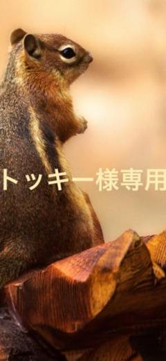 とっきー様専用