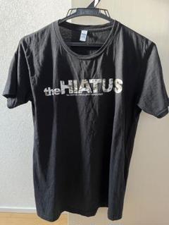 the HIATUS × SKULLSHIT コラボTシャツのサムネイル
