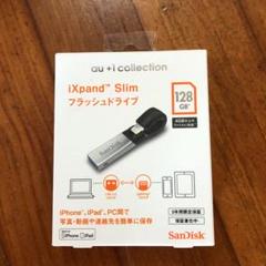 SanDisk R06Z004A