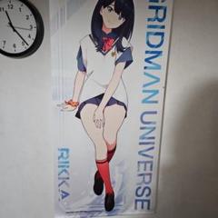 新品未開封　SSSS. GRIDMAN グリッドマン　等身大タペストリー　2種 グッズ-タペストリー】SSSS.GRIDMAN 描き下ろしほぼ等身大