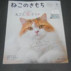 ねこのきもち 62冊 Sakura Ishihara | ねこのきもち6月号の表紙撮影担当しました