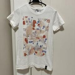ダブルスタンダードクロージング　色彩　Tシャツ　36