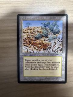 早い者勝ち特価　Diamond Valley 英語　mtg 引退　格安提供 早い者勝ち特価Diamond Valley 英語mtg 引退格安提供