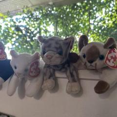 ビーニーベイビーズ　21体　まとめ売り TY beanie Baby&Buddy /ビーニーベイビーズ＆バディ色々