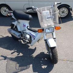 ホンダ　シャリー純正ハーネスCF-50 CF-70 6V 当時物デッドストック品 ホンダシャリー純正ハーネスCF-50 CF-70 6V 当時物デッドストック品