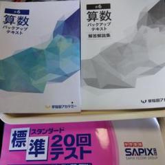 2025年最新】早稲田アカデミー 小6 バックアップテキストの人気