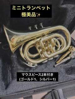 【超メルカリ市】トランペット　銀　SLADE　未使用品 トランペット 銀 SLADE 未使用品 - メルカリ