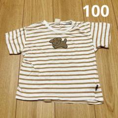petit main ストライプ 犬刺繍 Tシャツ 100 ミッフィー