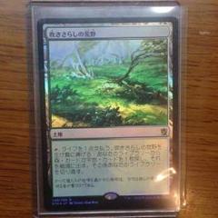 MTG 吹きさらしの荒野　foil exp エクスペディション 吹きさらしの荒野 [ONS] 【BIGWEB | MTG】日本最大級の激安