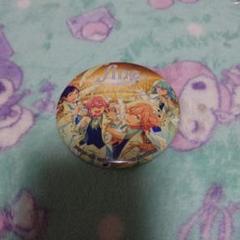 あんさんぶるスターズ　あんスタ fine アルバム 缶バッジ