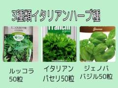 3種類 のイタリアハーブ種