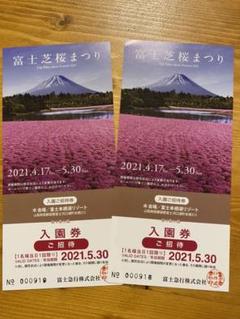 富士芝桜まつり 入園券 2枚セット