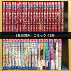 裁断済み 虹甘えてよ カノジョは嘘を愛しすぎてる 僕の初恋をキミに捧ぐ メルカリ