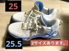 【美品】LI-NING WADE SHADOW 6 輪廻 ウェイド25㎝ Wade Shadow 6「輪廻」｜Way of Wadeバッシュ｜リーニンバッシュ