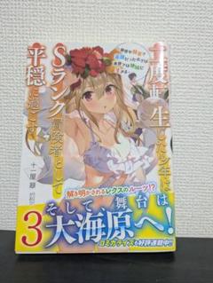二度転生した少年はSランク冒険者として平穏に過ごす 前世が賢者で英雄だったボク…