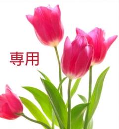 冷却2WAYひんやりマット 2個セット