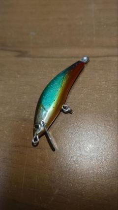 HAZEOVER x ZENTENLURE ハンドメイド渓流2色セット