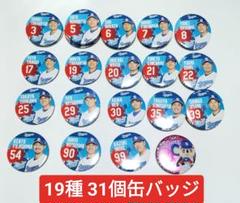 中日ドラゴンズ どらポジ応援! 缶バッジくじ 19種31個セット　中古