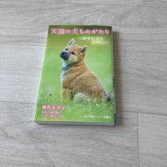 天国の犬ものがたり ～幸せになるために～ 小学館ジュニア文庫