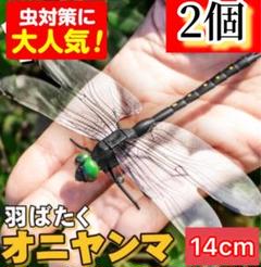 標本箱　トンボ　⑭ Amazon | トンボ鉛筆 長方形 消しゴム MONO モノボックス 18個入