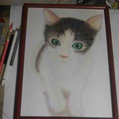 色鉛筆画 A4 額つき ネコ⑦