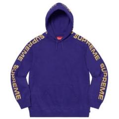 【完売品】supreme 2020 Metallic Rib Hoodie