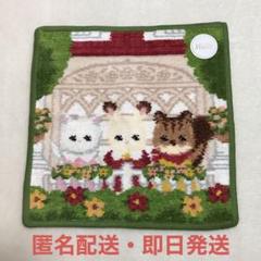 FEILER MAGAZINE 詳細 | フェイラー(FEILER)オフィシャル