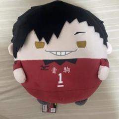 ハイキュー ぽてコロマスコット ふわコロりん M BIG 黒尾鉄朗 孤爪研磨 ハイキュー!! ふわコロりんBIG8 黒尾 鉄朗(中学生ver