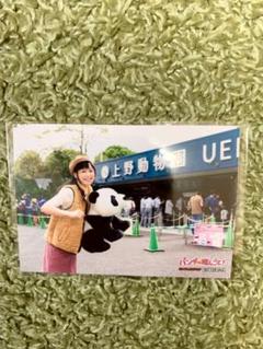 パンダの推しごと! 徳井青空 ブロマイド