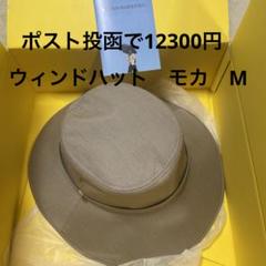 サンバリア100 ウィンドハットのサムネイル