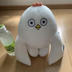 はじめまして松尾です超BIGサイズ ニワトリぬいぐるみ