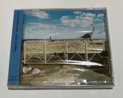 Singin' in the NOW (通常盤) 新品・未開封のサムネイル