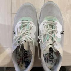 NIKE fit Sole ゴルフシューズ
