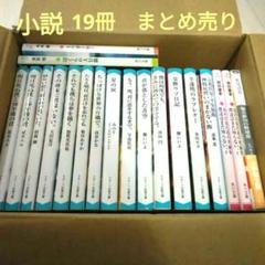 恋愛小説 まとめ売り 14冊 バラ売り⭕️ 2025年最新】恋愛小説まとめ売りの人気アイテム - メルカリ