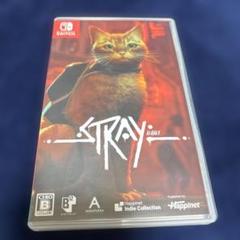 stray