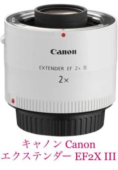 『5年保証』 SCM様専用【純正レンズ】Canon EF300mm USM IS F2.8L - レンズ(ズーム)