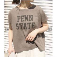 新品未使用★【ライディングハイ】ラフィテンジクＴシャツ
