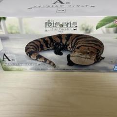 【一番くじ】爬虫類&両生類 A賞 アオジタトカゲフィギュア