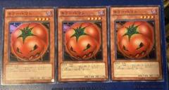 遊戯王 NO.A8984 大量セット キラートマト サボウファイター 各50枚 2025年最新】キラー・トマトの人気アイテム - メルカリ