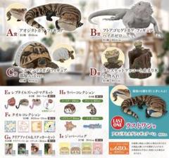【新品】爬虫類＆両生類　一番くじ　全43種セット