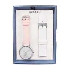 レディース ギフトセット 腕時計 リクルート SKAGEN