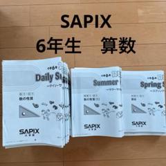 最新版SAPIX6年生夏期講習サマーサピックス算数セット欠番なし 2025年最新】サマーサピックスの人気アイテム - メルカリ