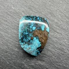 スパイダーウェブターコイズ ブラックウェブ Turquoise