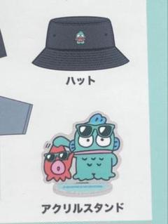 ハンギョドン　帽子&アクリルスタンド