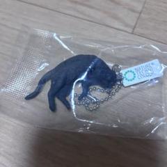 ネイチャーテクニカラー 猫 ボールチェーンマスコット