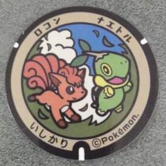 ポケふた 缶バッジ 北海道 9個セット 2025年最新】ポケふた 北海道の人気アイテム - メルカリ