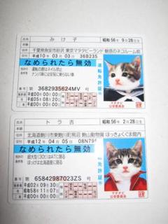激安アウトレット通販 2025年最新】とらきちの人気アイテム メルカリ - テーブル・チェア・ハンモック