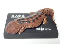 京都水族館限定フィギュア　オオサンショウウオ