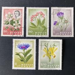 世界の花切手コレクション 郵趣サービス社 60ページ 2025年最新】世界の花切手の人気アイテム - メルカリ