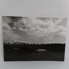04◆ソフィア SOPHIA ALIVE◆図録のサムネイル